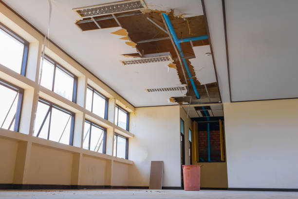 Best 24/7 water damage repair  in Cedaredge, CO