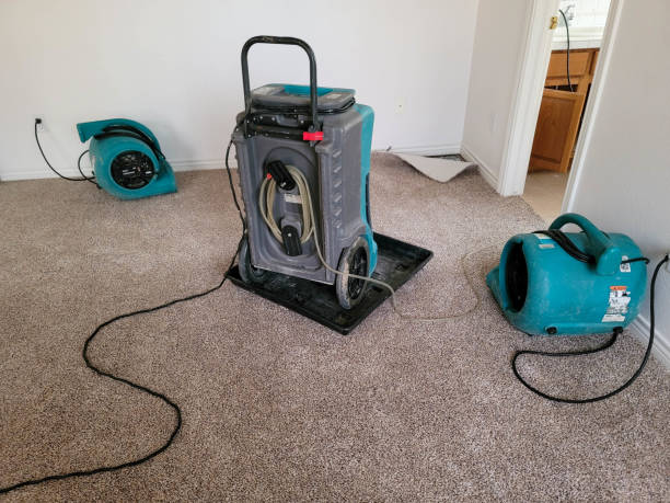 Best Flood restoration services  in Cedaredge, CO
