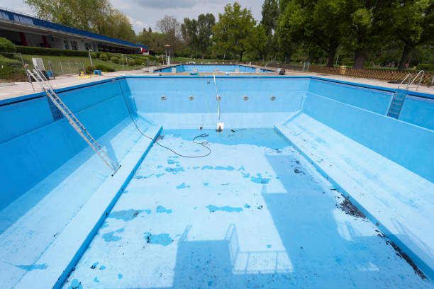 Best Flood damage cleanup  in Cedaredge, CO