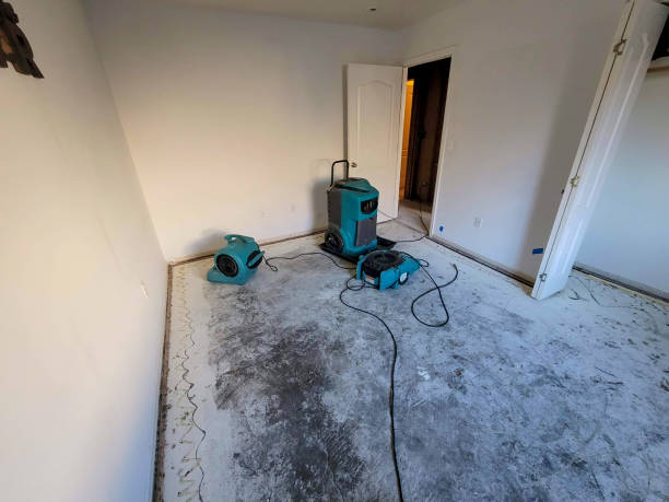 Best Emergency water damage restoration  in Cedaredge, CO