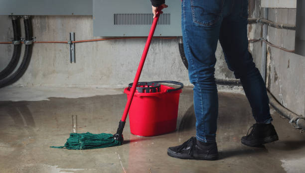 Carpet water damage restoration in CO