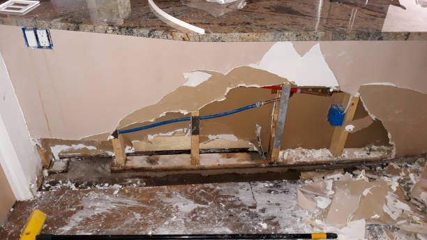 Best Fire Damage Restoration  in Cedaredge, CO